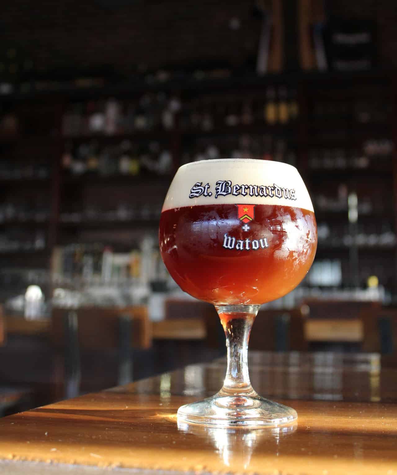 St Bernardous drink alone on a counter